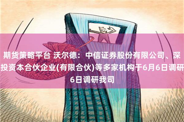 期货策略平台 沃尔德：中信证券股份有限公司、深圳猎投资本合伙企业(有限合伙)等多家机构于6月6日调研我司