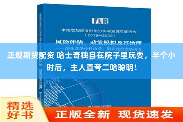 正规期货配资 哈士奇独自在院子里玩耍，半个小时后，主人直夸二哈聪明！