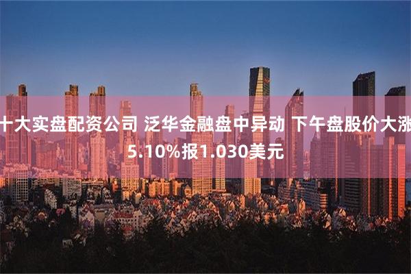 十大实盘配资公司 泛华金融盘中异动 下午盘股价大涨5.10%报1.030美元