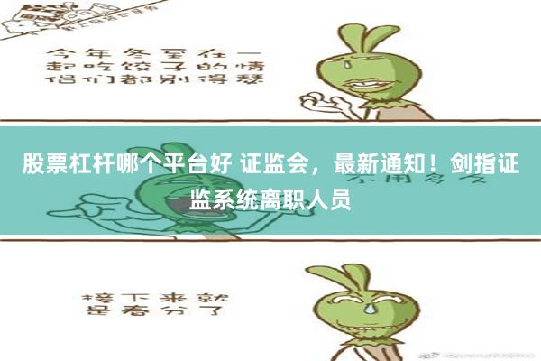 股票杠杆哪个平台好 证监会，最新通知！剑指证监系统离职人员