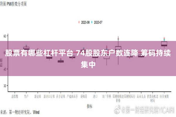 股票有哪些杠杆平台 74股股东户数连降 筹码持续集中