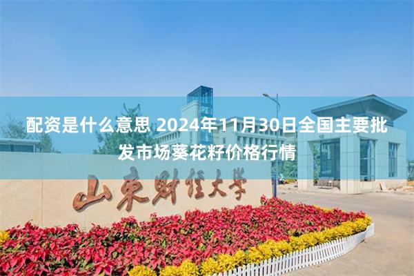 配资是什么意思 2024年11月30日全国主要批发市场葵花籽价格行情