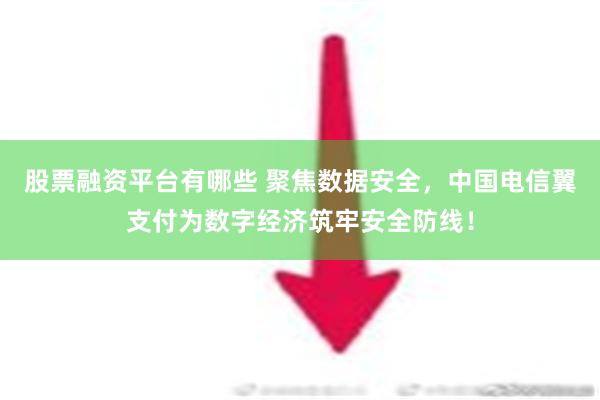 股票融资平台有哪些 聚焦数据安全，中国电信翼支付为数字经济筑牢安全防线！