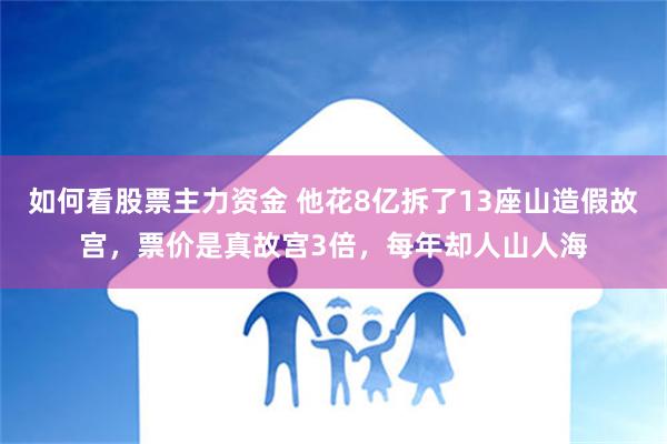 如何看股票主力资金 他花8亿拆了13座山造假故宫，票价是真故宫3倍，每年却人山人海