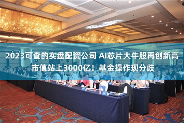 2023可查的实盘配资公司 AI芯片大牛股再创新高 市值站上3000亿！基金操作现分歧